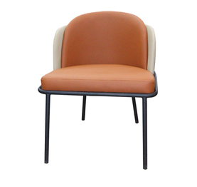 Jilphar Furniture Modern Design Dining Chair JP1161B