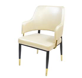 Jilphar Furniture Luxury Design Dining Chair JP1179