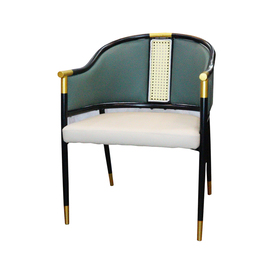 Jilphar Furniture Modern Design Dining Chair with Metal Legs - JP1293