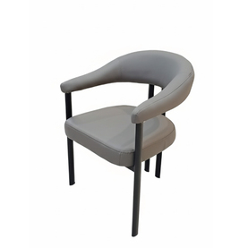 Jilphar Furniture Modern Aesthetic Dining Chair JP1595