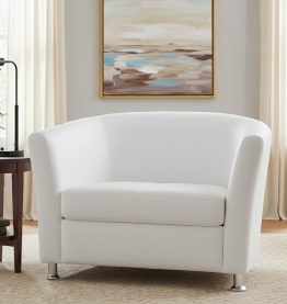 Jilphar Furniture Versatile Tub-Style 2 Seater Customize Sofa JP5008B