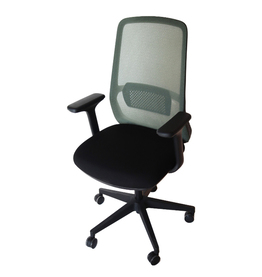 Jilphar Furniture Ergonomic Office Chair with Adjustable Armrest  JP7010