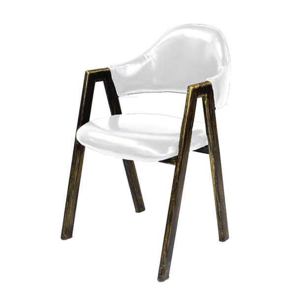 Jilphar Furniture Modern Style Dining Chair JP1077