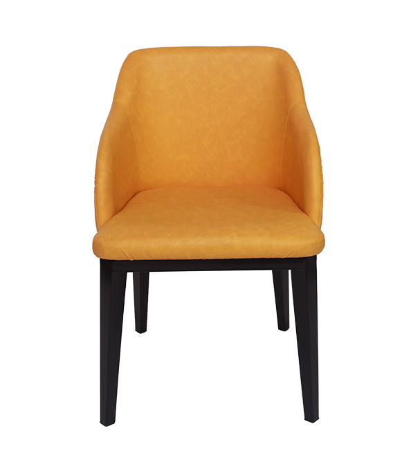 Jilphar Modern Desgin Readymade Dining Chair JP1099A