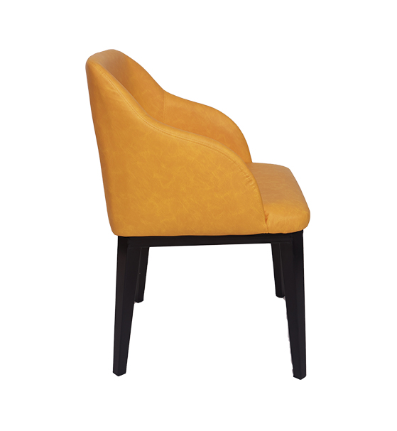 Jilphar Modern Desgin Readymade Dining Chair JP1099A