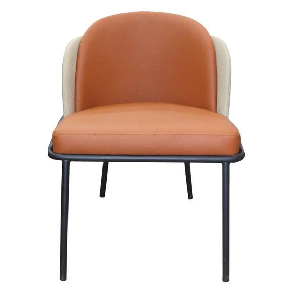 Jilphar Furniture Modern Design Dining Chair JP1161B