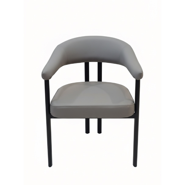 Jilphar Furniture Modern Aesthetic Dining Chair JP1595