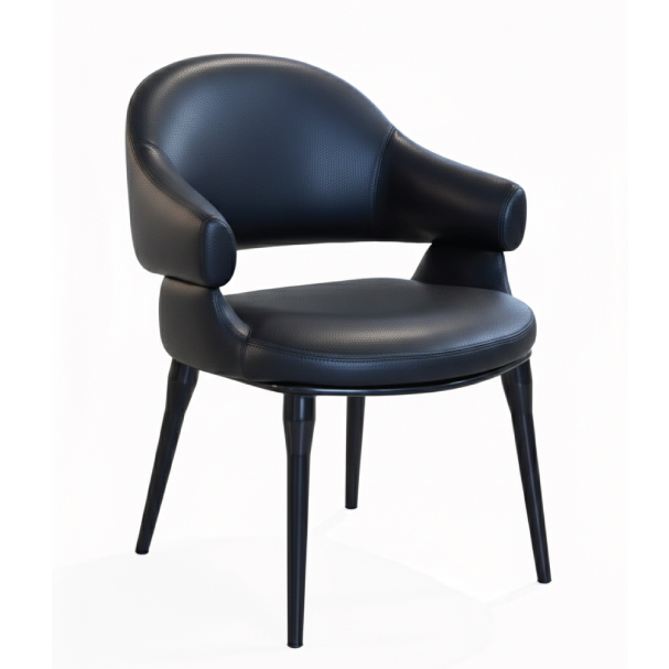 Jilphar Furniture The Obsidian Sculptural Black Color Dining Chair JP1621A