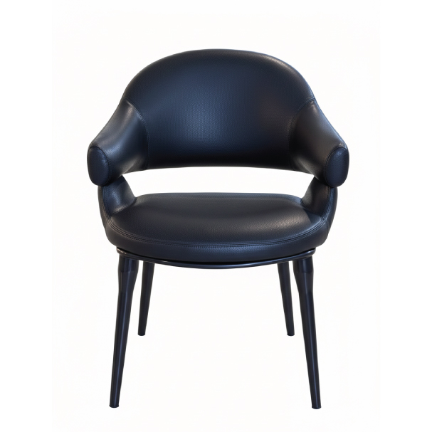 Jilphar Furniture The Obsidian Sculptural Black Color Dining Chair JP1621A