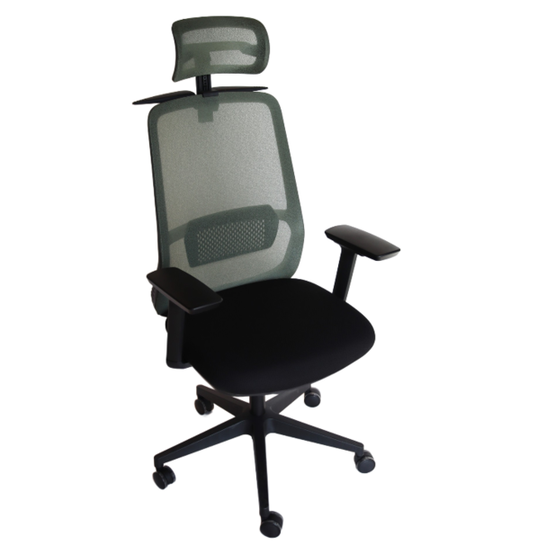 Jilphar Furniture Ergonomic Office Chair, High Back with Adjustable Headrest JP7009