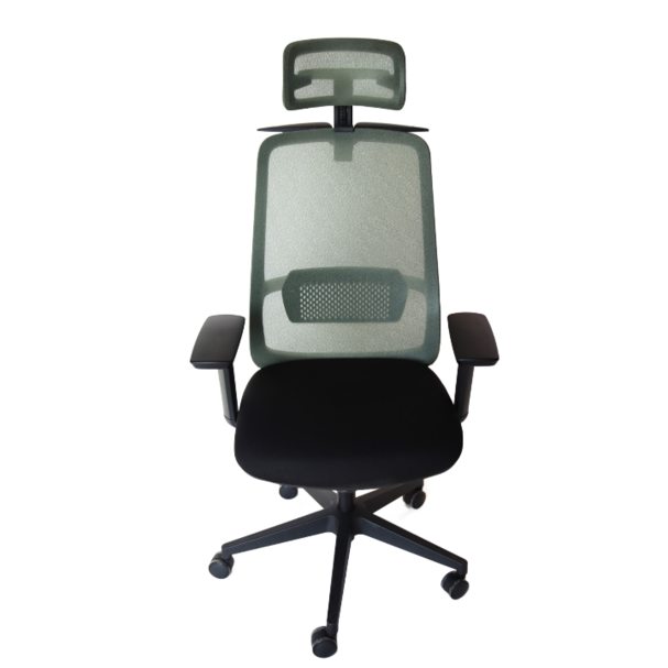 Jilphar Furniture Ergonomic Office Chair, High Back with Adjustable Headrest JP7009