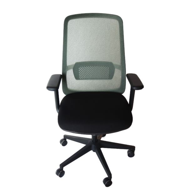 Jilphar Furniture Ergonomic Office Chair with Adjustable Armrest  JP7010