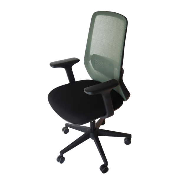 Jilphar Furniture Ergonomic Office Chair with Adjustable Armrest  JP7010