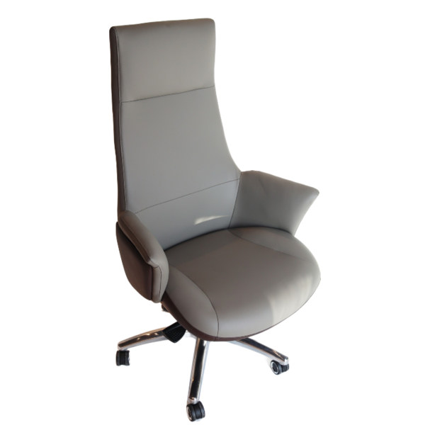 Jilphar Furniture Luxury Leather Manager Office Chair JP7018